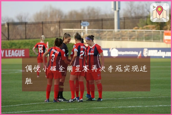 倜傥小猫全明星赛再次夺冠实现连胜