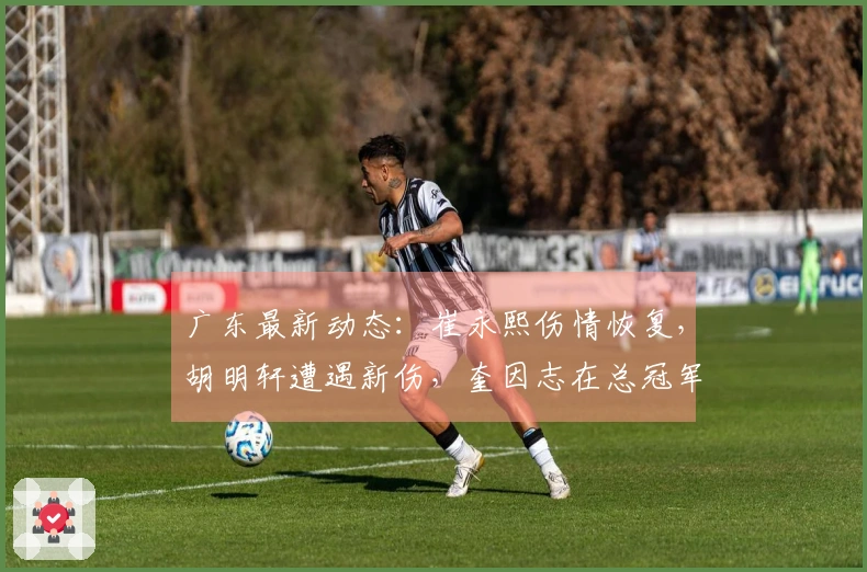 广东最新动态：崔永熙伤情恢复，胡明轩遭遇新伤，奎因志在总冠军